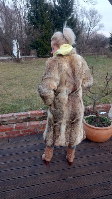 Futro naturalne długie z kojota