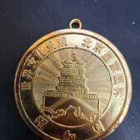 Pozlacany medal 2008