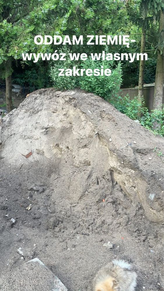 Oddam za darmo ZIEMIĘ