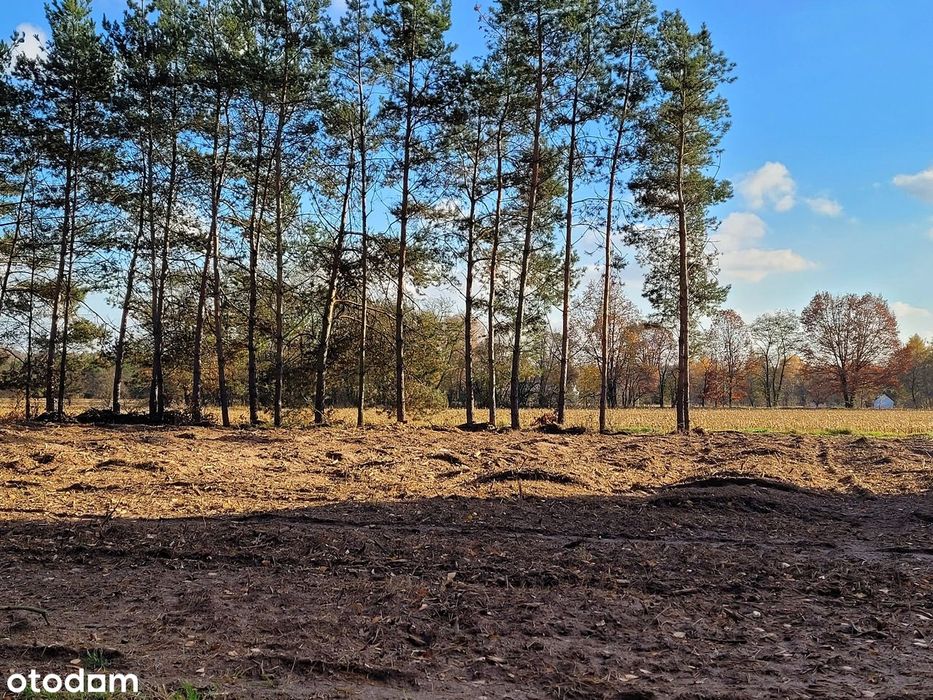 Działka budowlana, siedliskowa, Pieńki, gmina Mordy