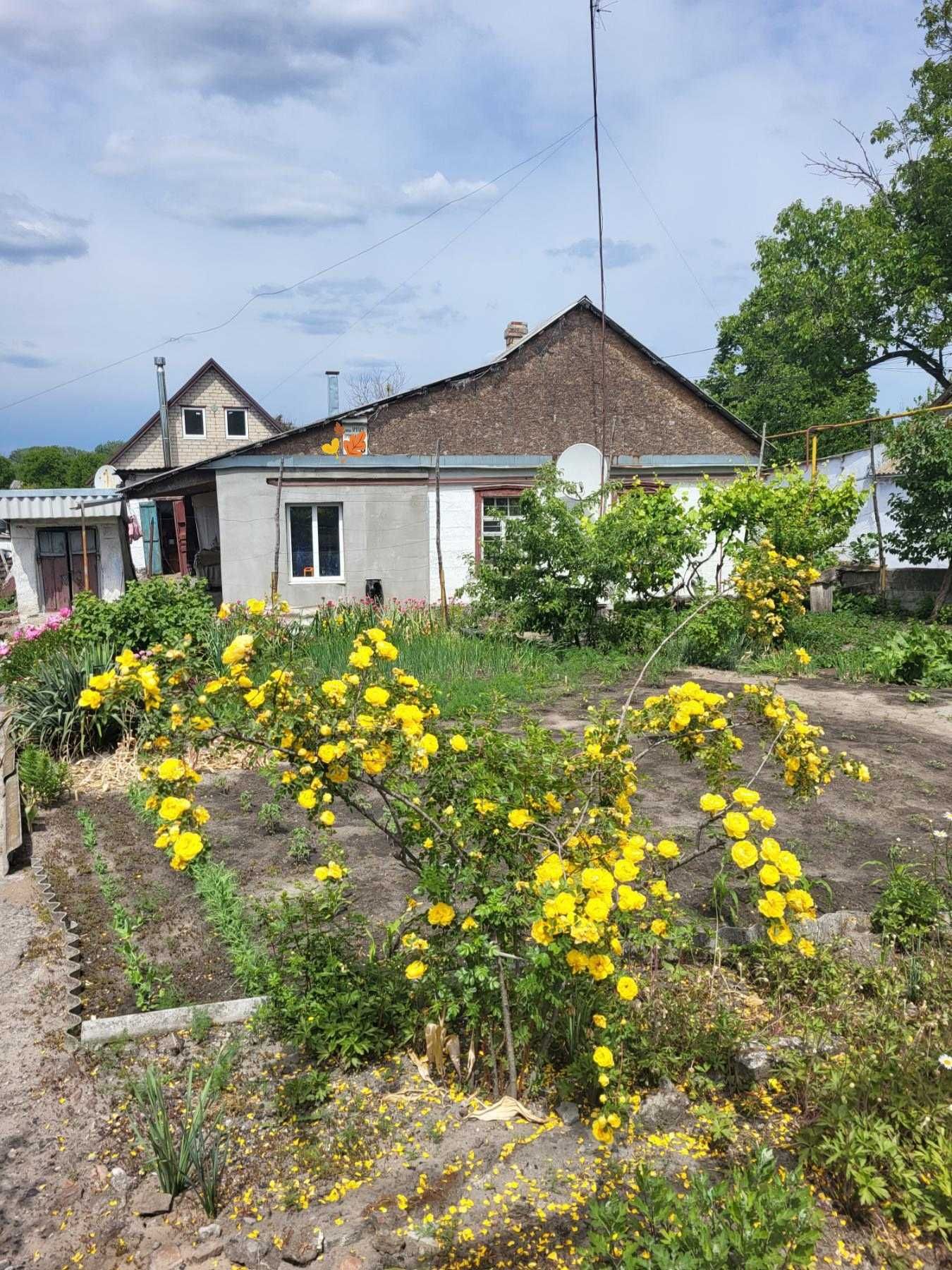 Продам дом с удобствами в Диевке/Парус/