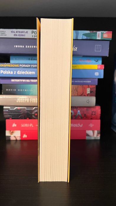 Projekt Riese. Remigiusz Mróz