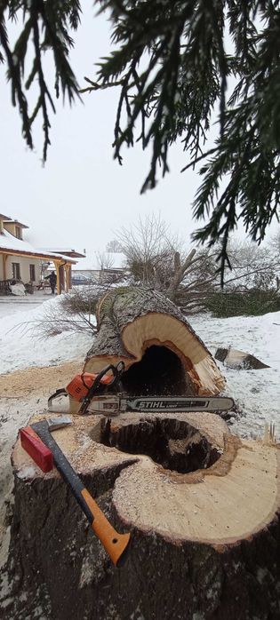 wycinka, pielęgnacja drzew także owocowych