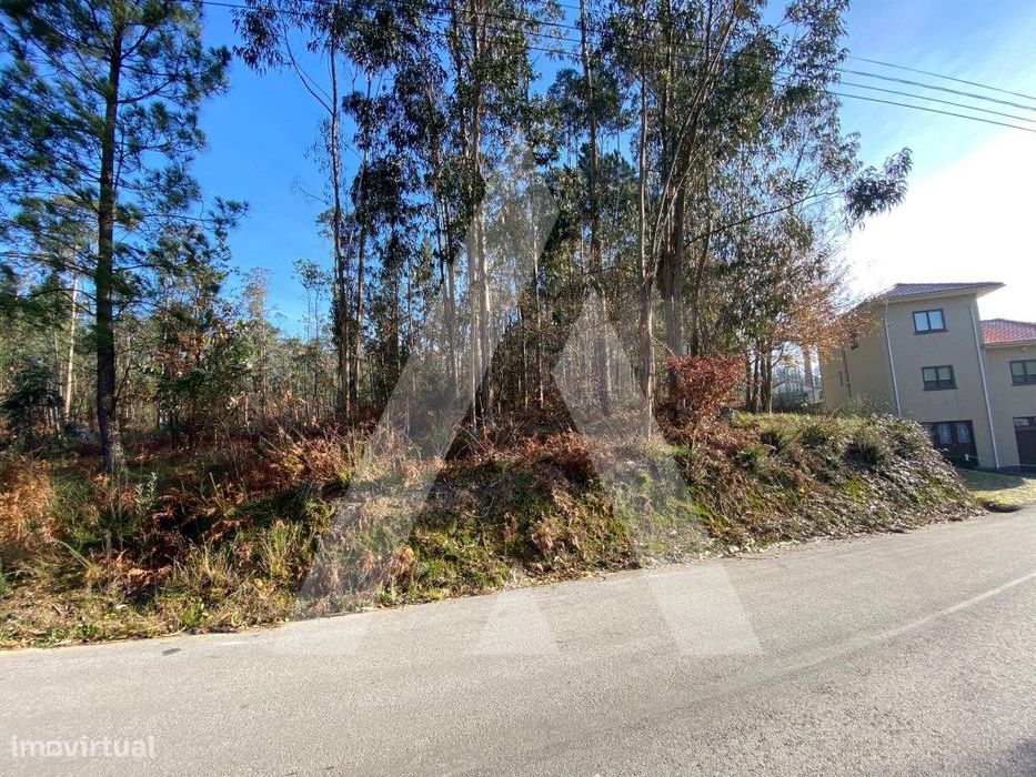 Terreno urbanizável próximo do Centro Histórico de Santa Maria da F...