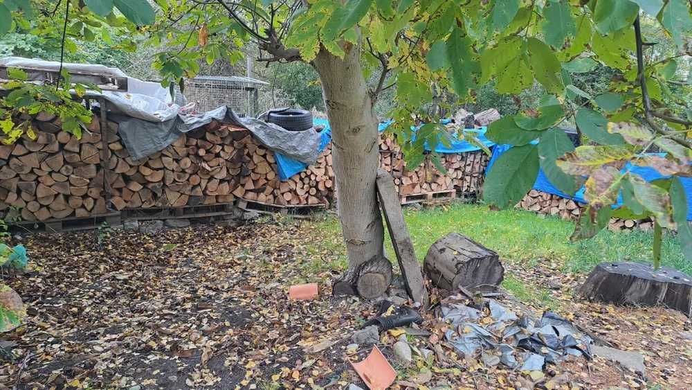 Sprzedaż drewna opałowego 380 zł