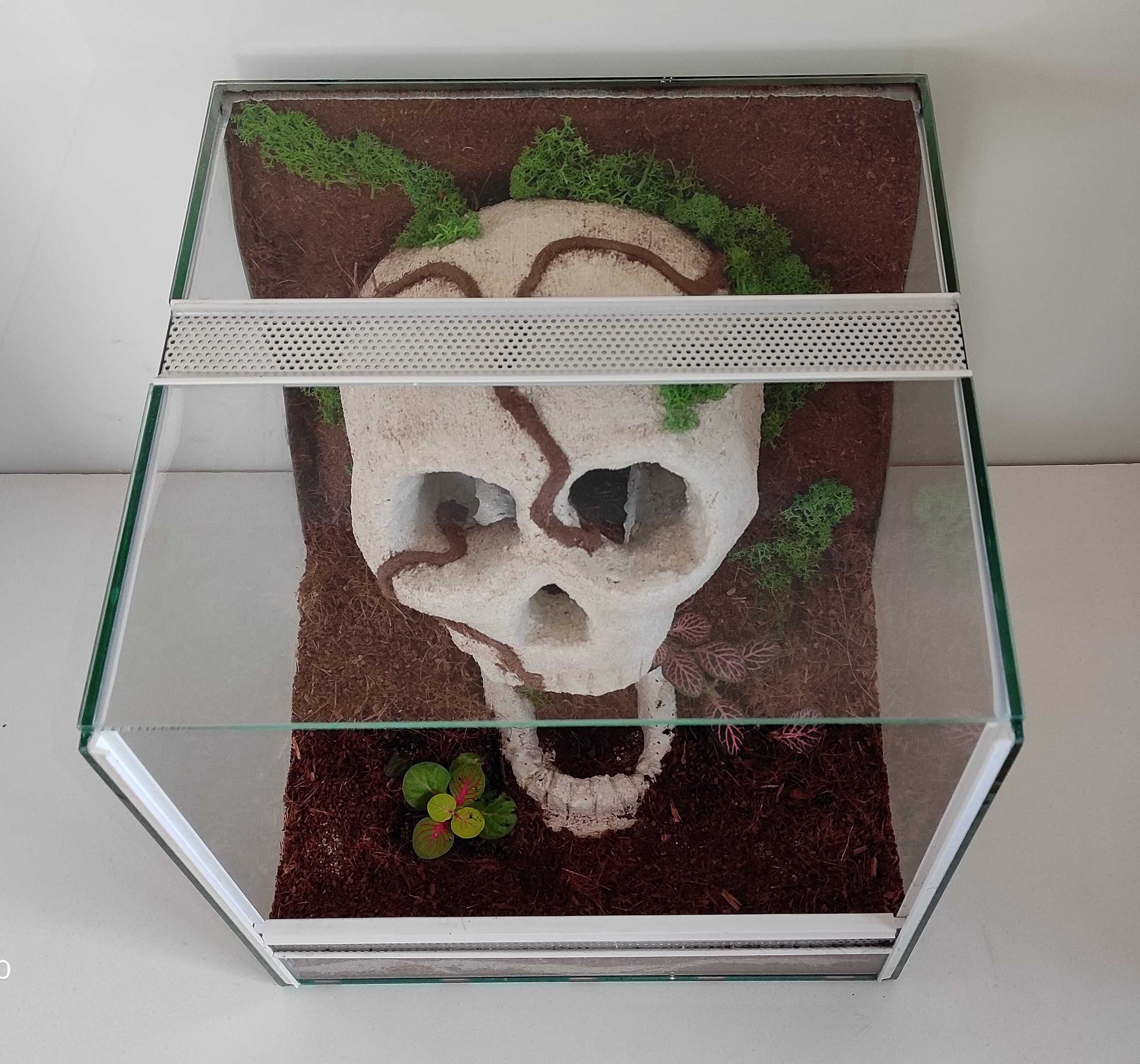 Terrarium dla pajaka, ptasznika,, tarantuli, TW20Cz AquaWaves