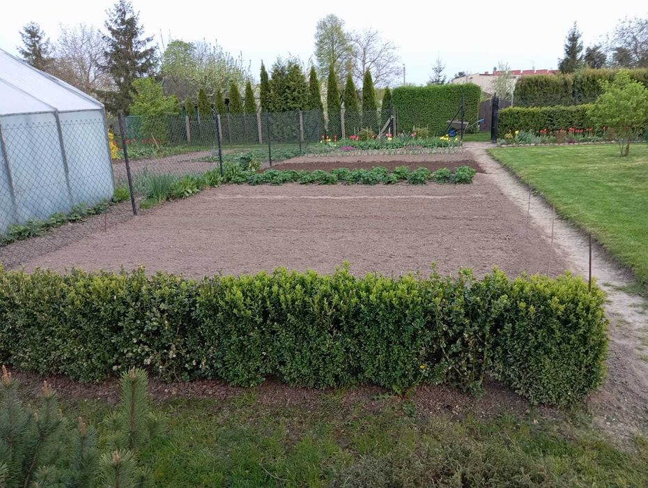 Sprzedam działkę ogrodową w miejscowości Olszewka