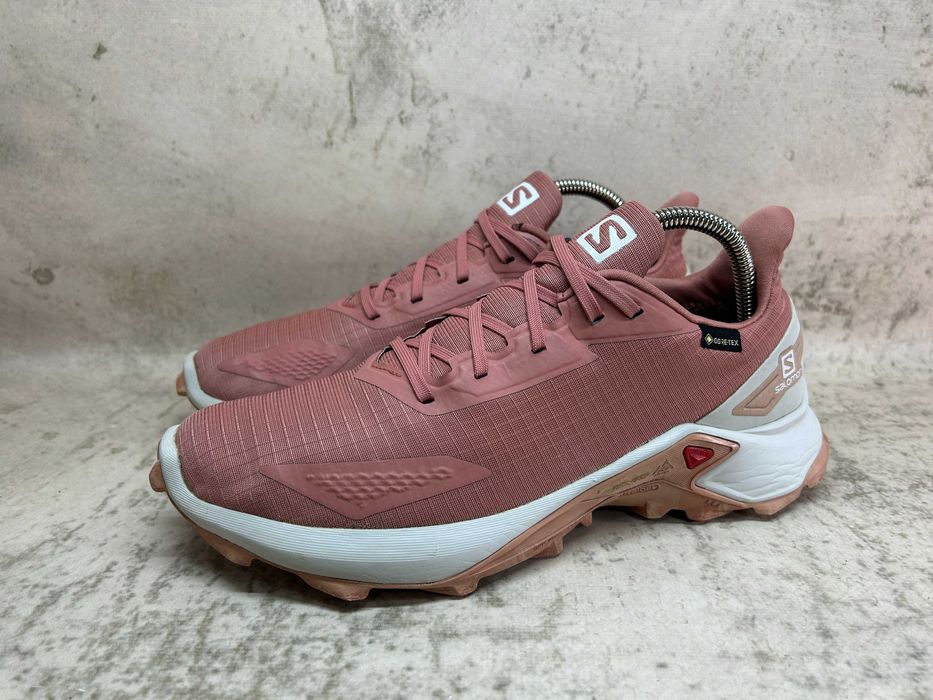 Кроссовки Salomon Alphacross Blast Gore-tex