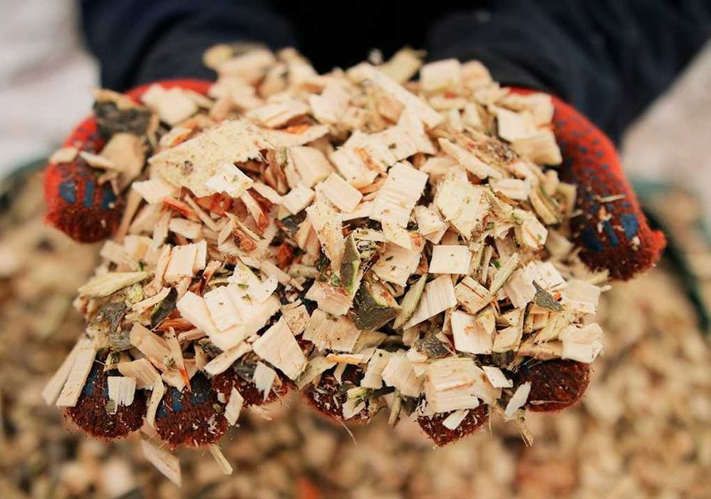 Подрібнювач гілок та бур'янів щепоріз 220 В. Металевий. 2,2 кВт.