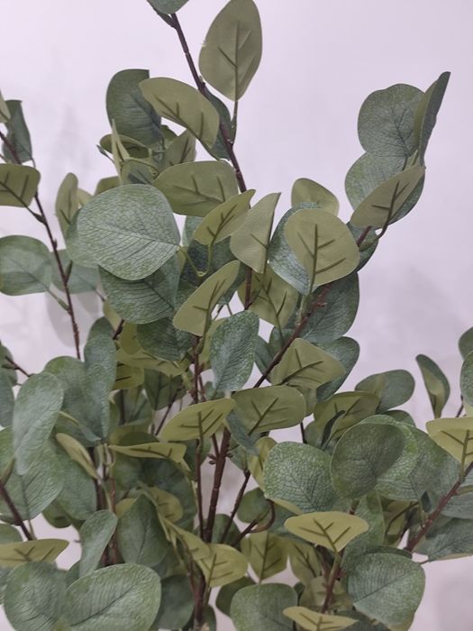 Sztuczne drzewko eukaliptus 150 cm Fopamtri – NOWE