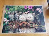Puzzle, puzzle,puzzle
