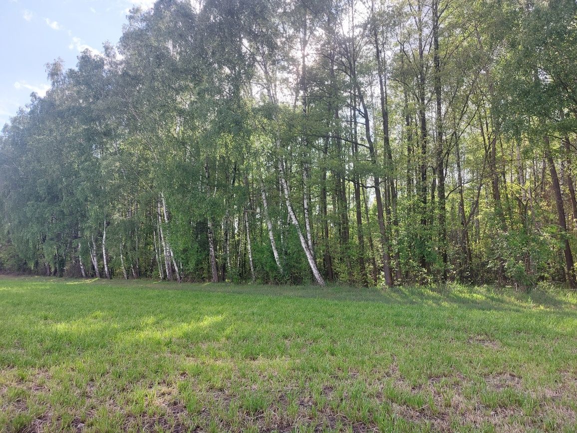 Działka leśna i rolna 4,29ha