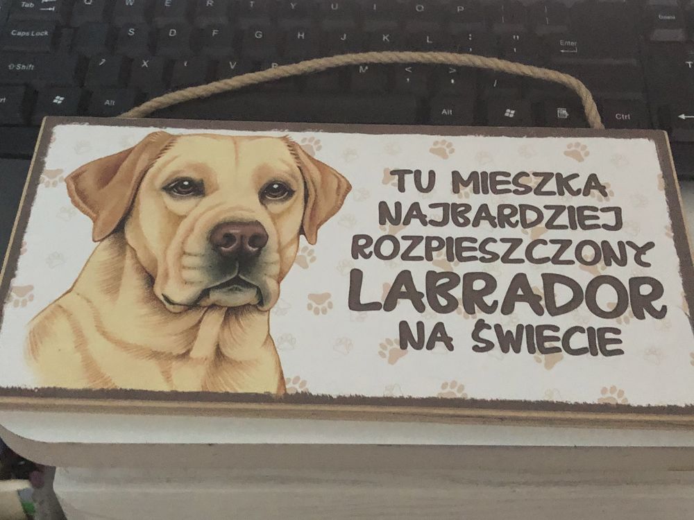 Tabliczka tablica na szafe labrador pies tu mieszka na bude drzwi