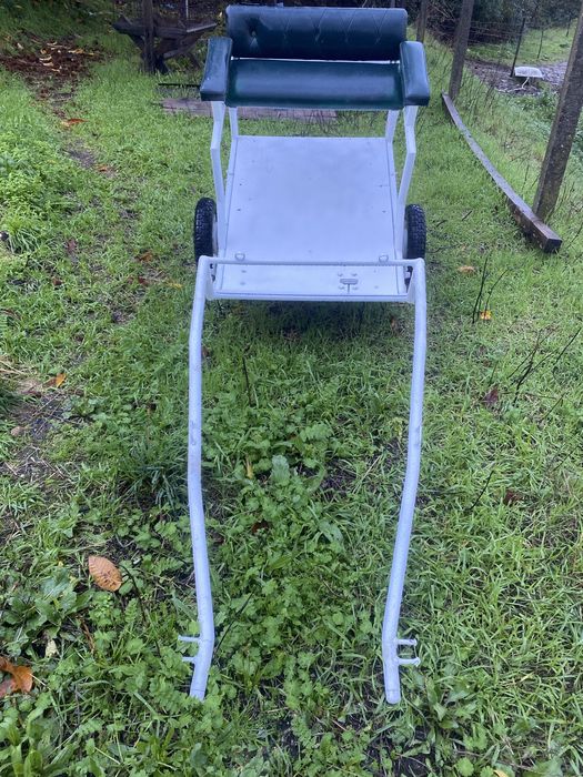 Charrete para pónei