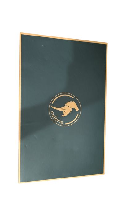 Vendo Botas Celeris Grace Kelly T. 40