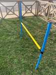 Obstáculo treino para cão