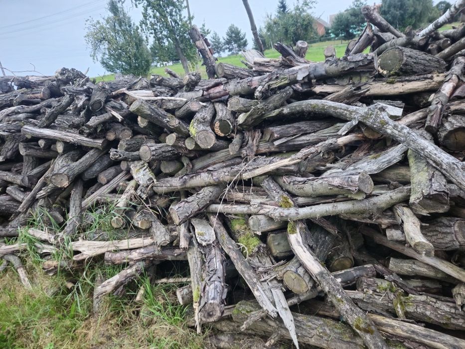 Drewno na opał Dąb