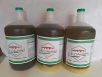 Azeite Virgem Extra