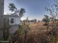 Quintinha com 26.000 m2