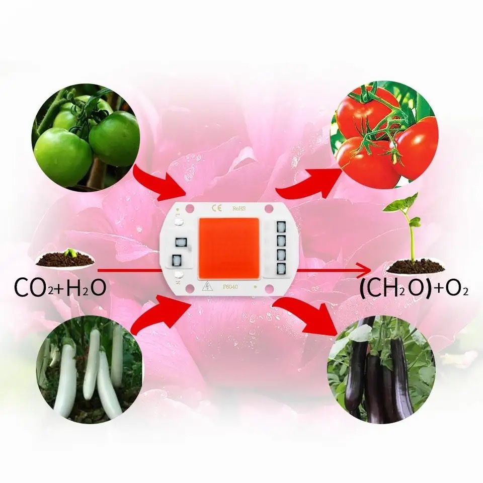 Led grow full spectrum dioda led cob 50w