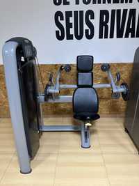 Arm extension Technogym