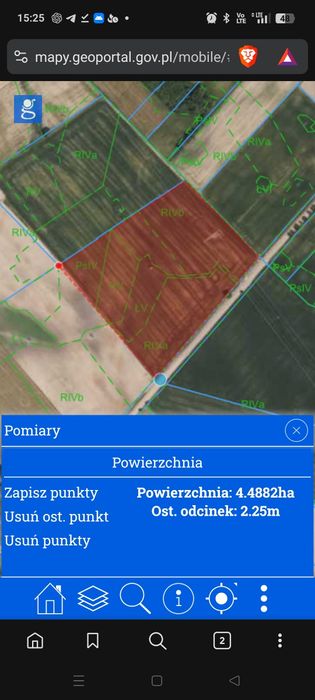 Kukurydza na pniu 4.5ha