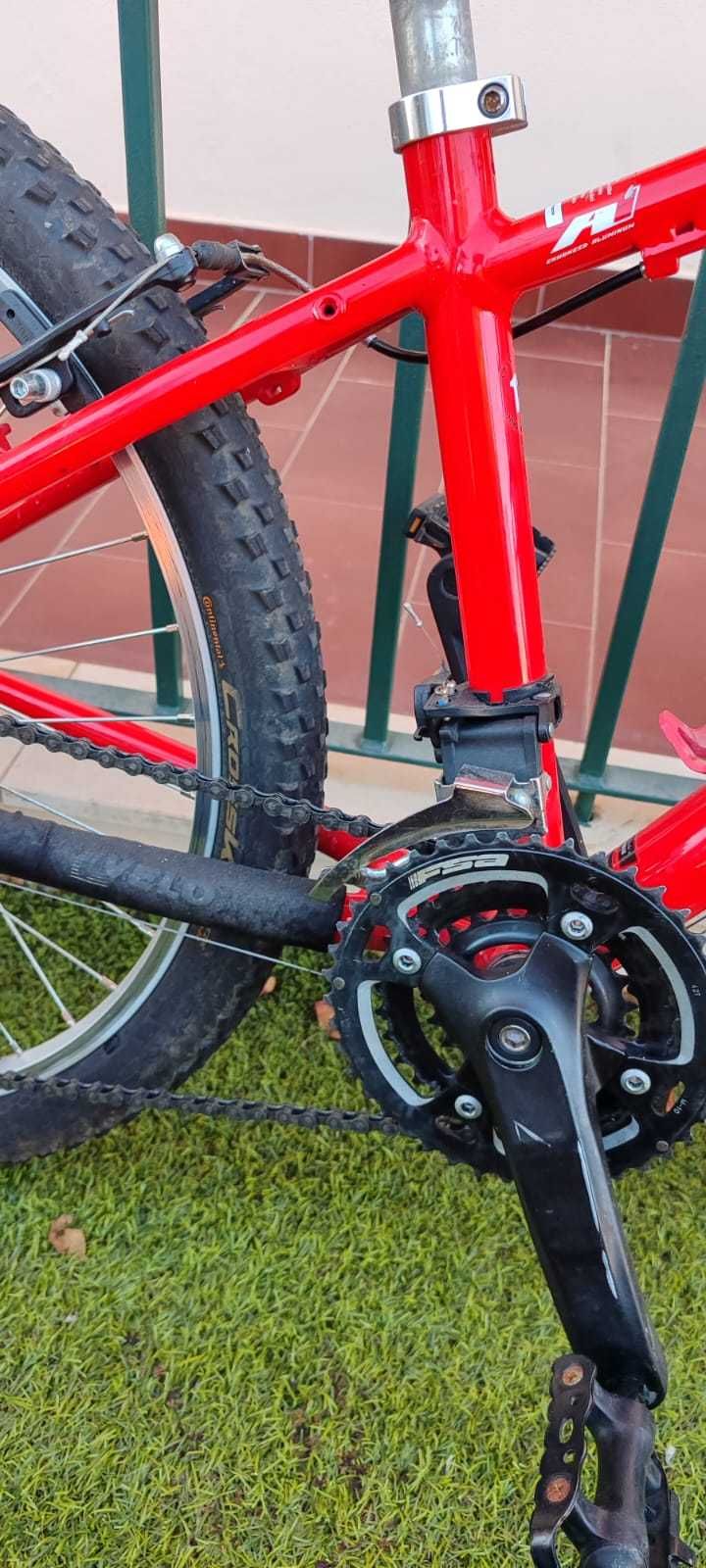 Bicicleta BTT 24" Specialized