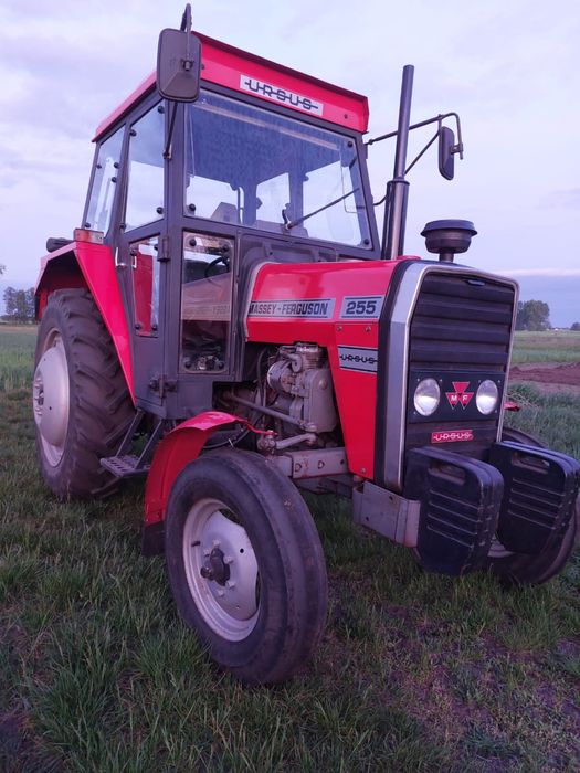 Ciagnik Massey Ferguson 255