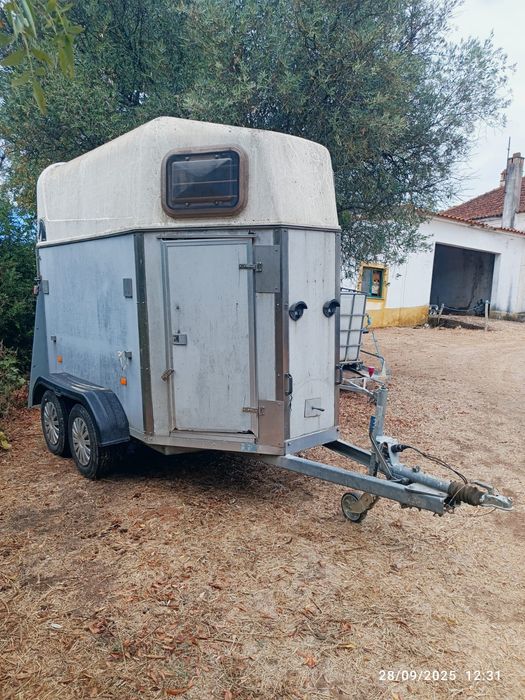 Atrelado(roulote)para transporte de cavalos de desporto