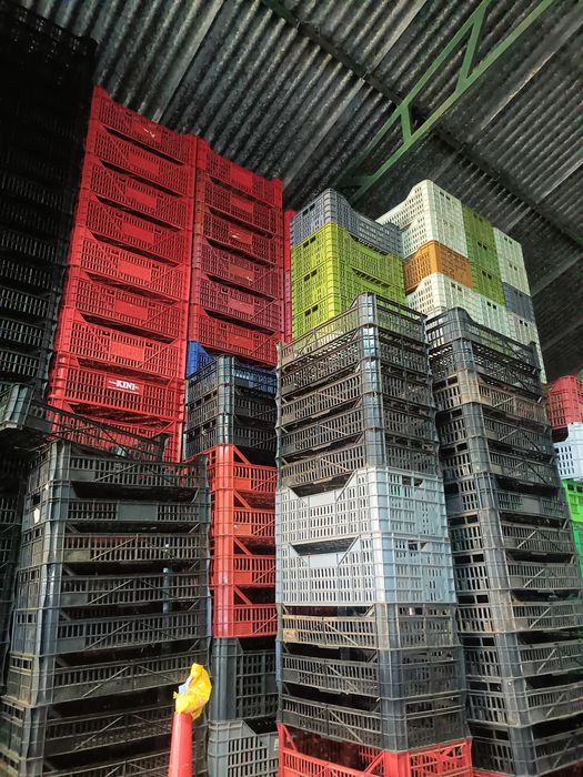 Vende-se caixas de plástico vários tamanhos.  Para desocupar