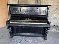 Pianino Ed Seiler