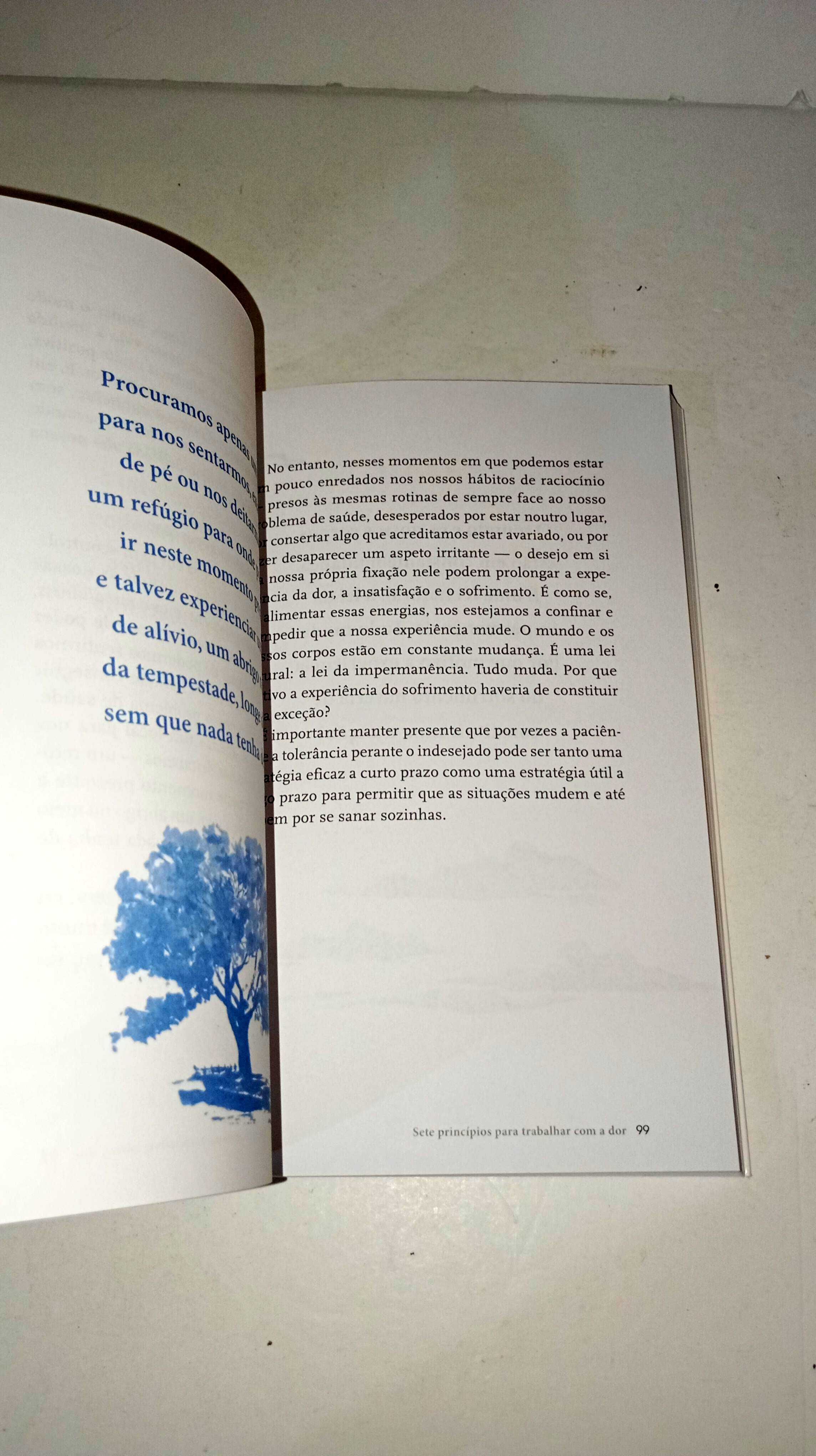 Mindfulness para o Alívio da Dor
