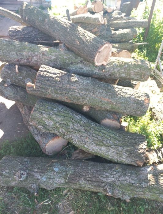 Дрова,отличного качества,дуб,акация