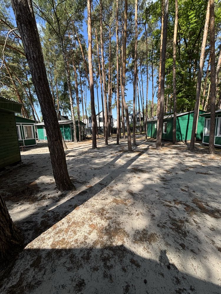 Domki do wynajecia nad morzem wakacje wczasy urlop plaża kwatery pokoj