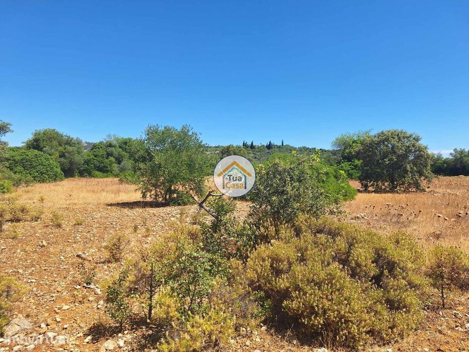 Terreno Rústico nos Arredores de São Brás de Alportel