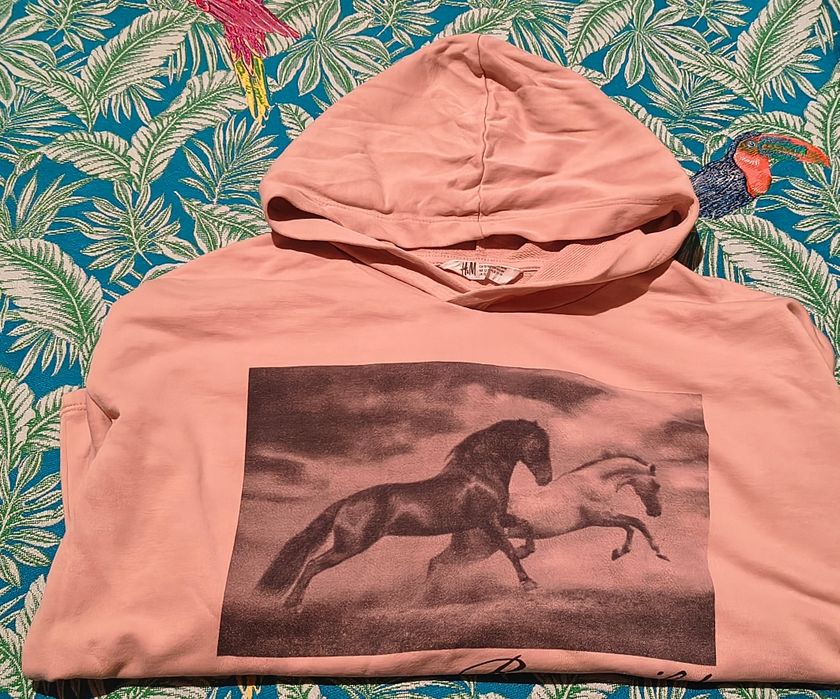 Bluza H&M z końmi roz. 158-164