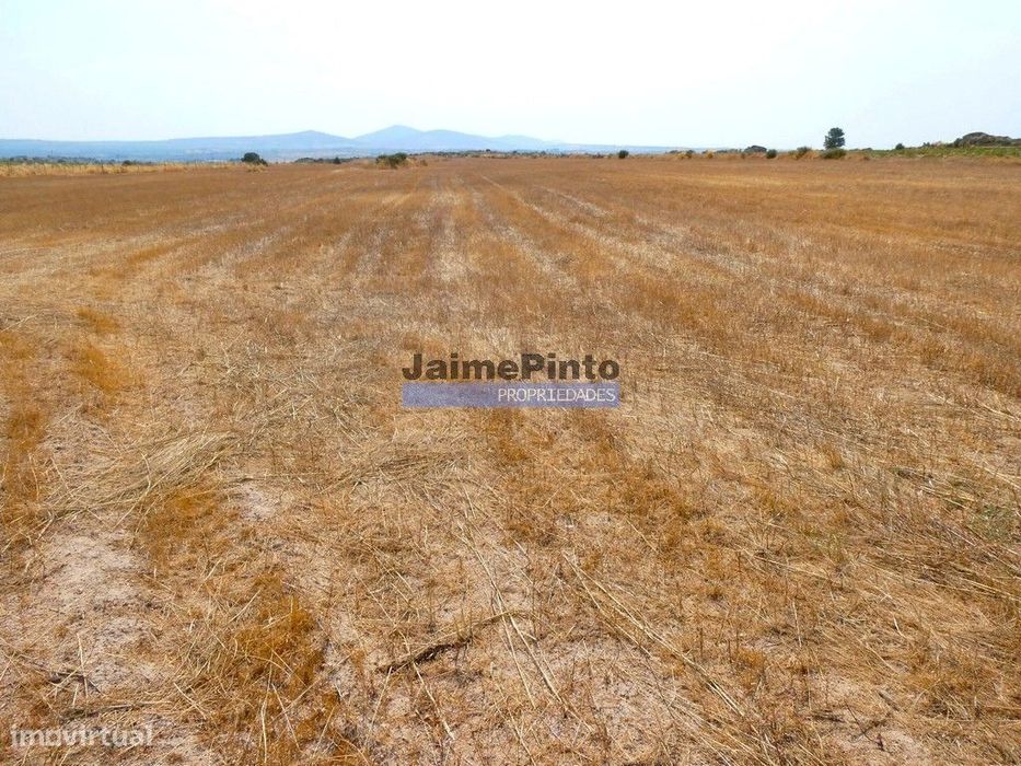 51.500m2 de TERRENO para agricultura. Portugal, Figueira de Castelo...