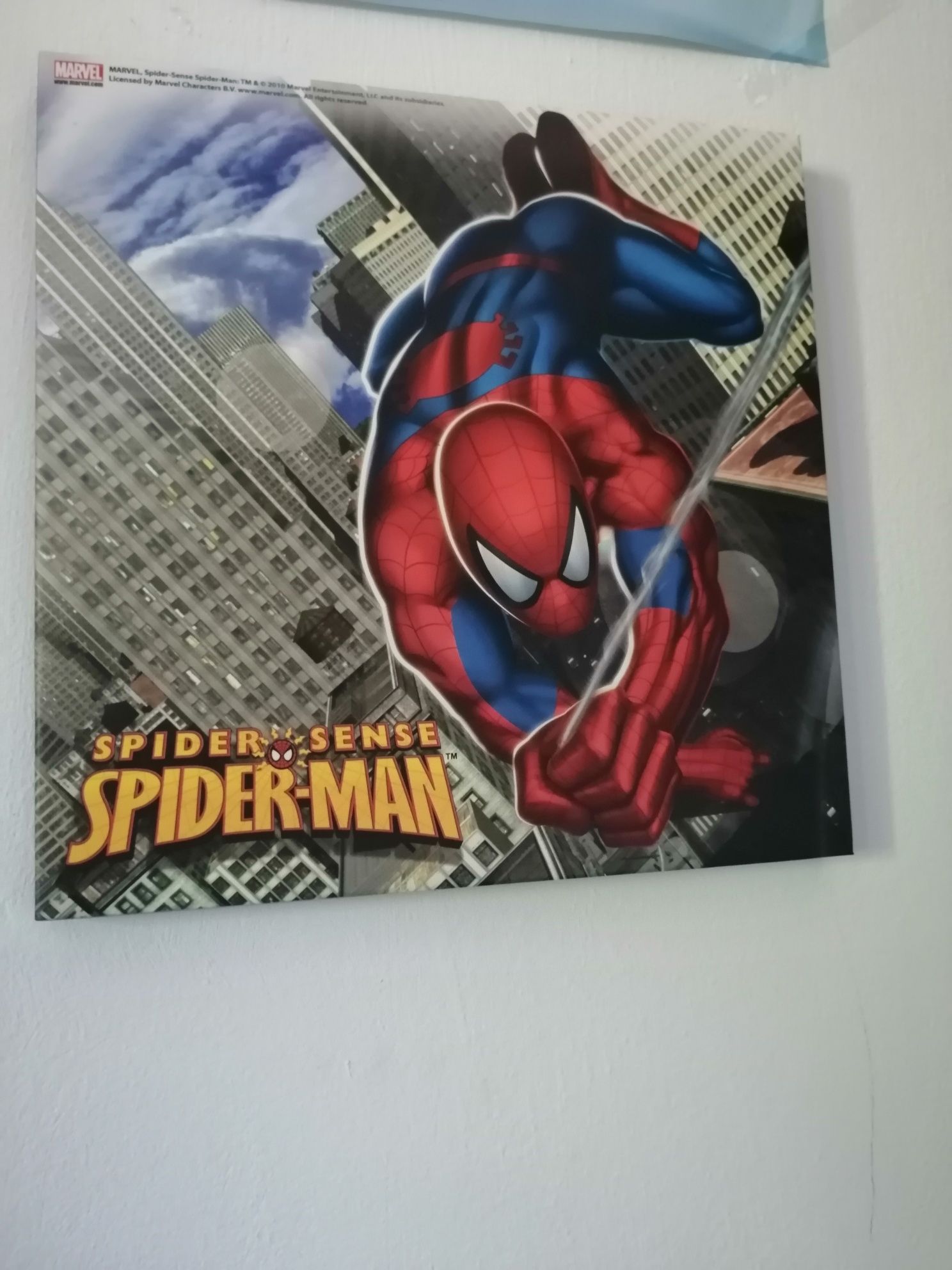 Quadro Homem Aranha