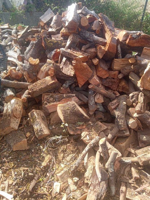 Lenha, madeira Azinho Sobro Oliveira Pinho Eucalipto