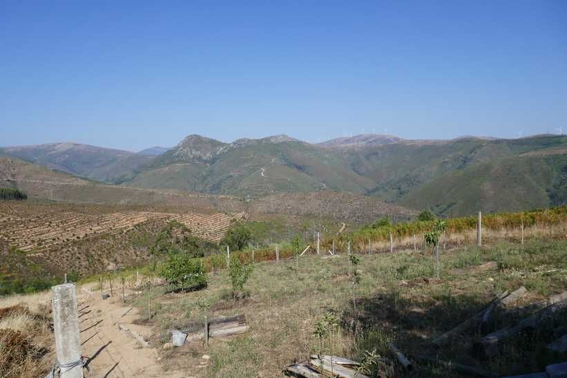 Terreno de 2600 m2 com vista de encantar