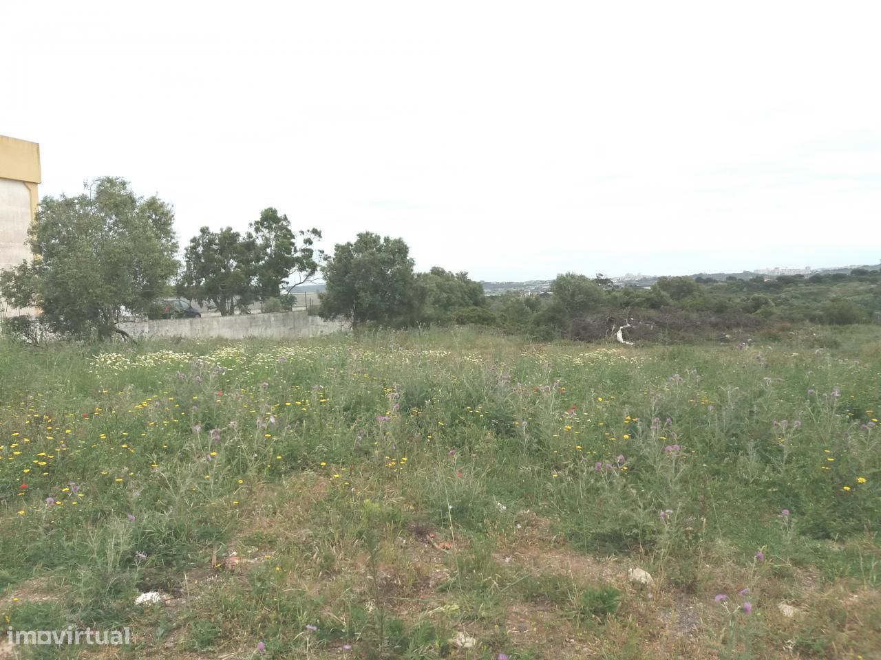 Terreno industrial Alcolombal com a area de 10800 m2