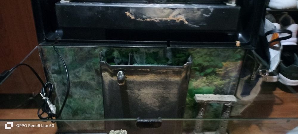 Aquário para peixes de água quente ou frio