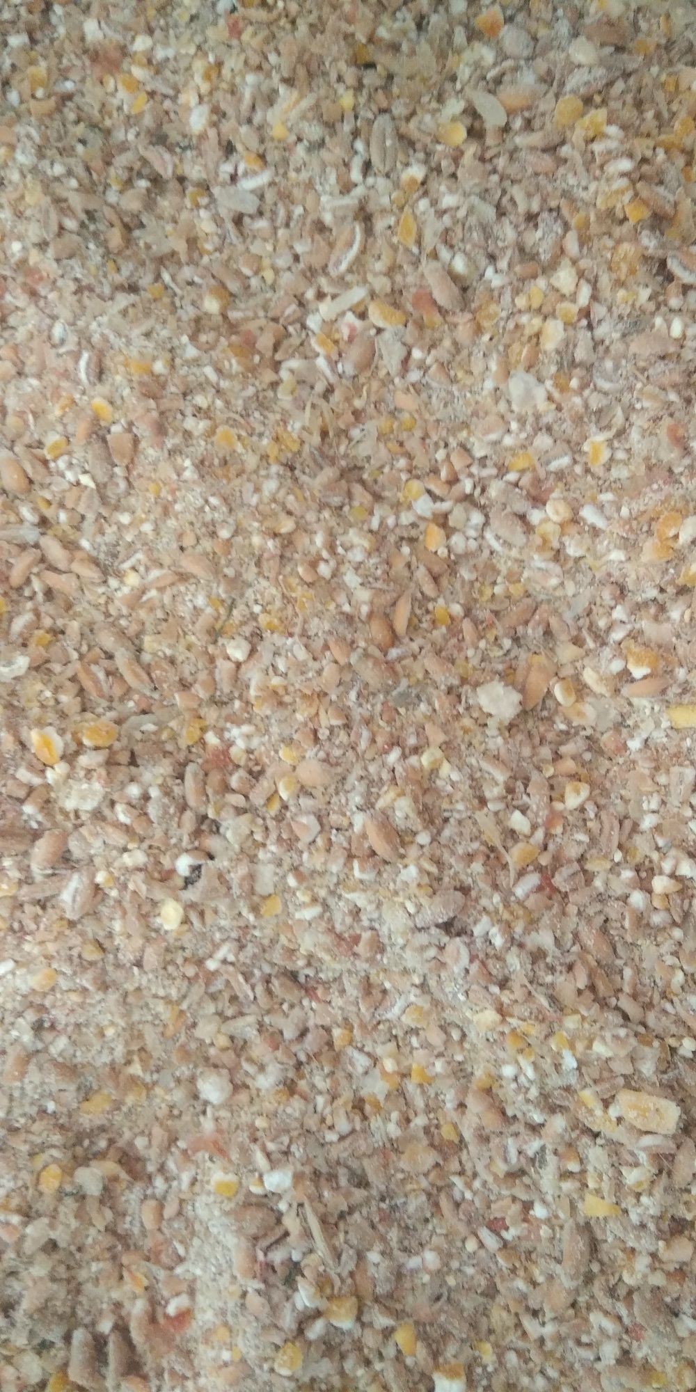 Ґрис,мелена пшениця з кукурудзою