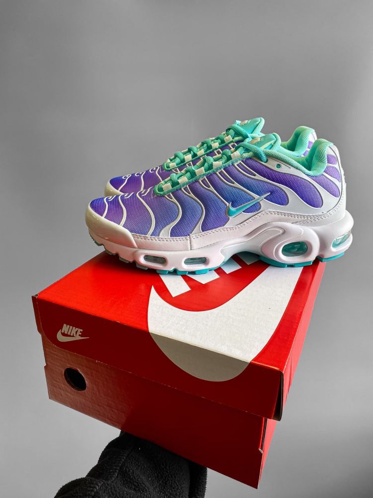 Кросівки Nike Air Max Plus TN | Кроси Найк | Взуття