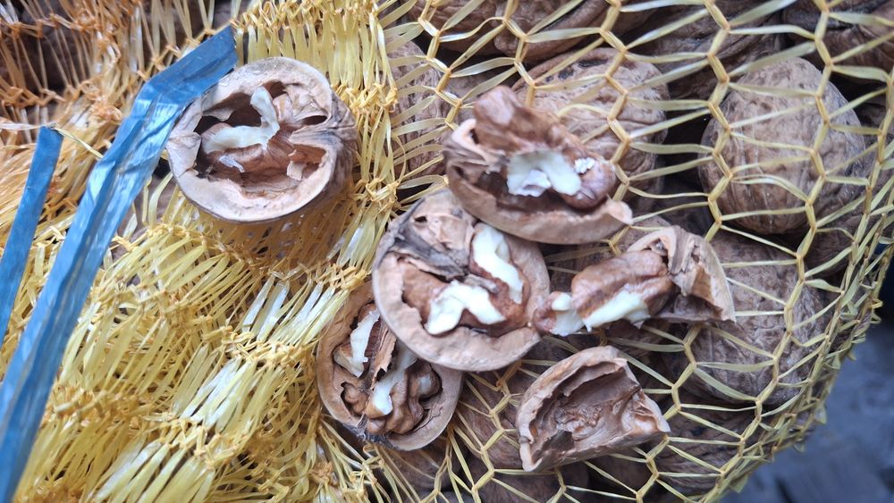 orzech włoski  Polecam