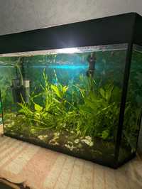 Продам акваріум 50-55 літрів