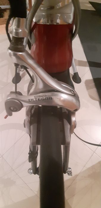 Orbea asphast de estrada