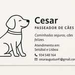 Passeador de caes