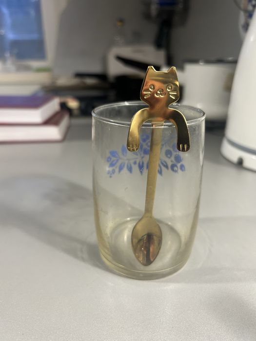 Ложка, Ложечка - котик