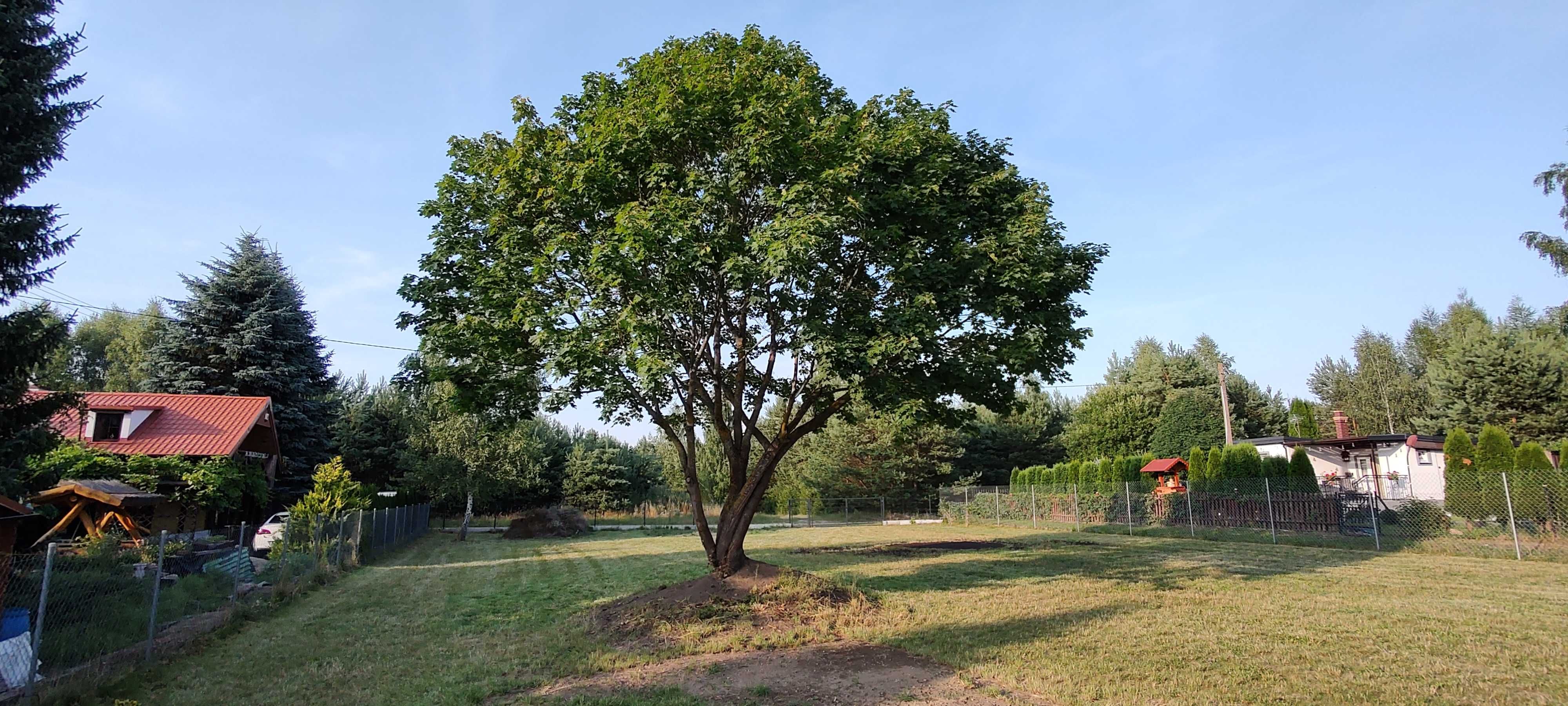 Uzbrojona, ogrodzona, zagospodarowana działka nad jeziorem (Jemiołowo)